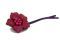  Pince cheveux Fuchsia