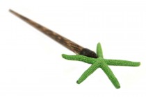 Pic étoile de mer Anis Pic cheveux orignal vert anis