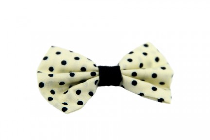 Barrette cheveux Minstinguette
