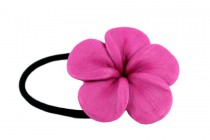 Elastique cheveux Orchidée