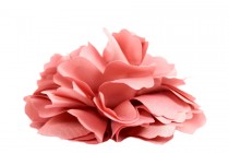 Pince cheveux Fleur Poudre