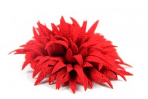 Élastique cheveux pour fille