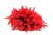 Élastique cheveux pour fille Élastique cheveux pour fille