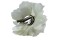 Pince cheveux perles et strass mariage Pince cheveux perles et strass mariage